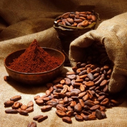 Despre pudra de cacao